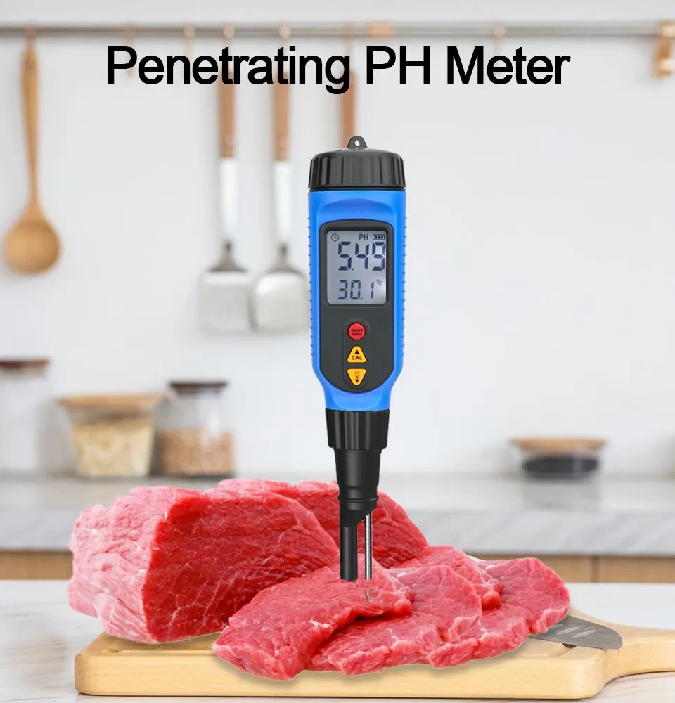 Pengenalan Penetrasi PH meter